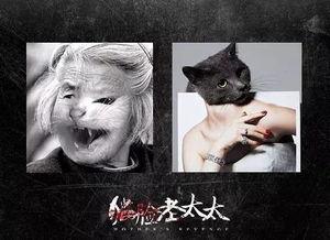 猫脸老太太 在线观看,神秘传说在线揭秘  第2张